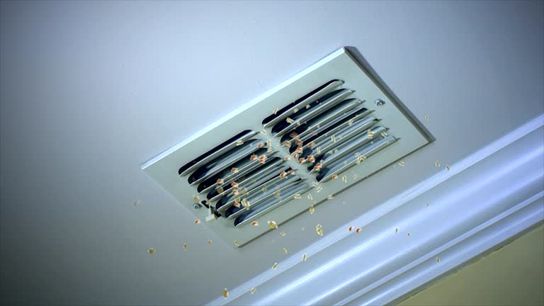 Best Emergency Air Duct Cleaning  in Sedona, AZ